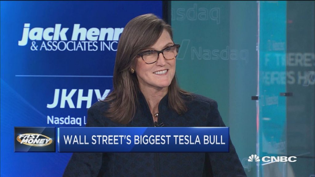 Cathie Wood was Wall Streets Biggest Tesla Bull Before the Major Share price boom! Source: CNBC
