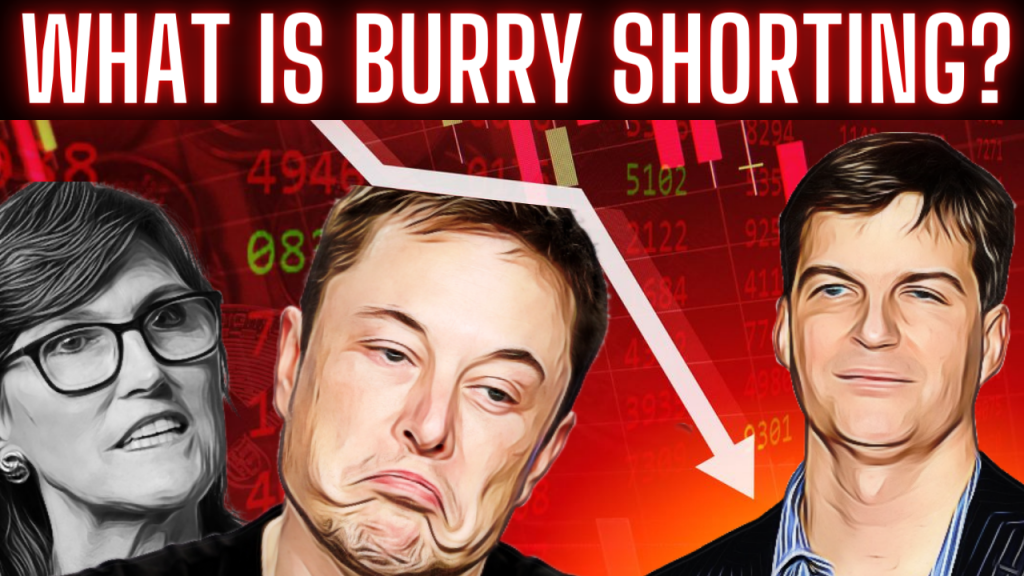 What is Michael Burry Shorting Short positions stocks Ark Invest ELon musk