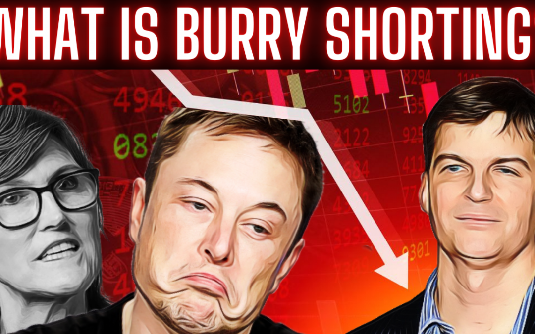 What is Michael Burry Shorting? | Stocks & Funds Revealed!